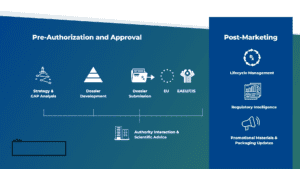 Regulatory Affairs Requirement