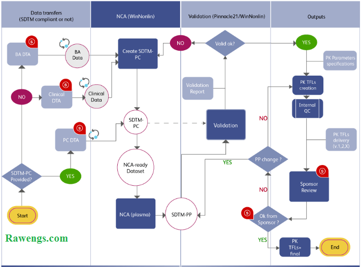 What is Bioavailability and Bioequivalence Study 2024