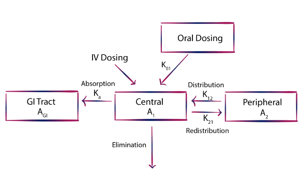 Overview of Statistical Concepts-Bioequivalence Pharmacokinetics-24