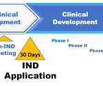 Regulatory Approval Process for Investigational New Drug (NDA-24)