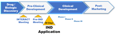 Regulatory Approval Process for Investigational New Drug (NDA-24)