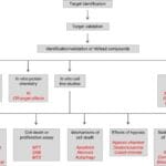 Data Requirements for Step 2: Preclinical Studies