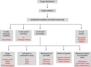 Preclinical Studies