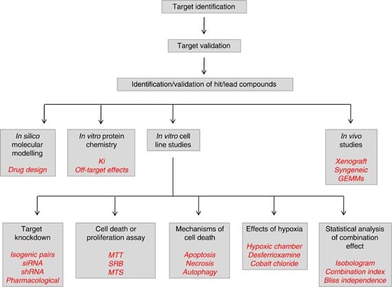 Data Requirements for Step 2: Preclinical Studies