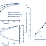 What is in-vitro-in vivo correlation (IVIVC)-Q6A