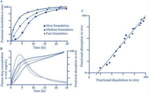 In-vitro-in vivo correlation